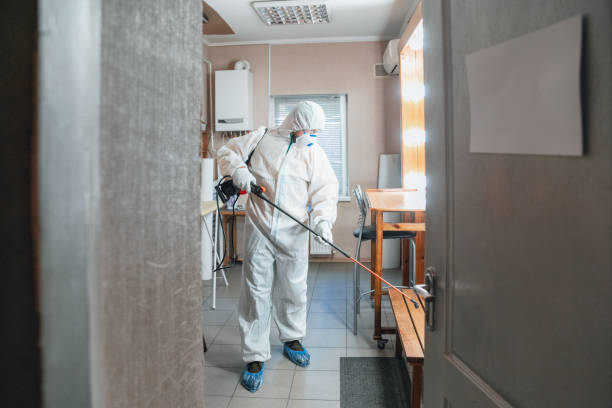 Best Post-Construction Mold Inspection  in Hamilton, GA
