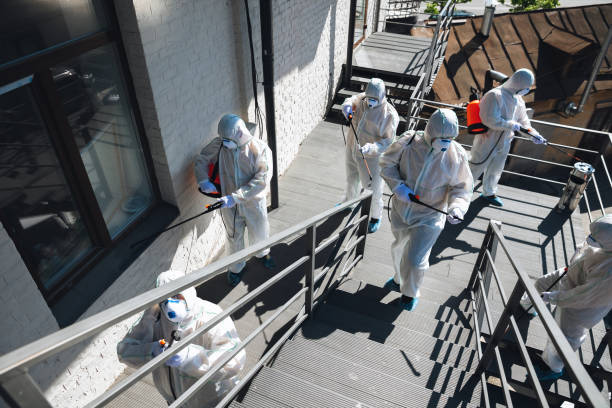 Best Environmental Consulting for Mold Prevention  in Hamilton, GA