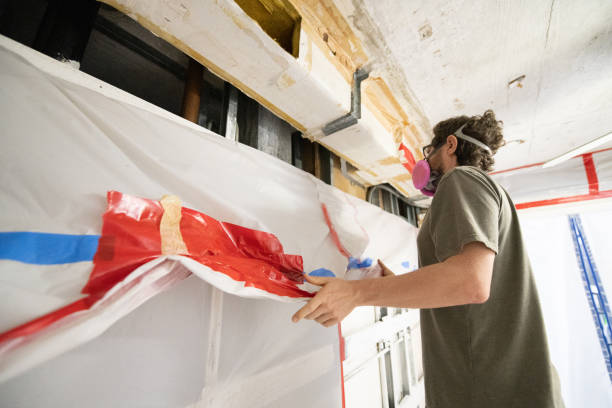 Best Crawl Space Mold Remediation  in Hamilton, GA