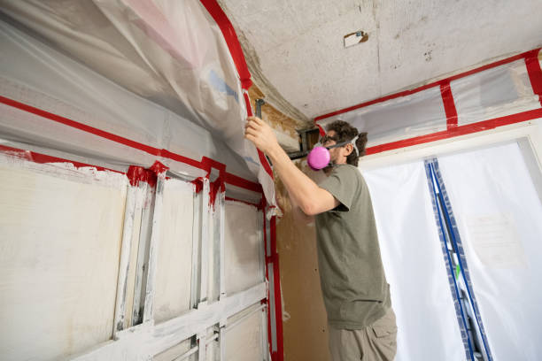 Mold Odor Removal Services in Hamilton, GA