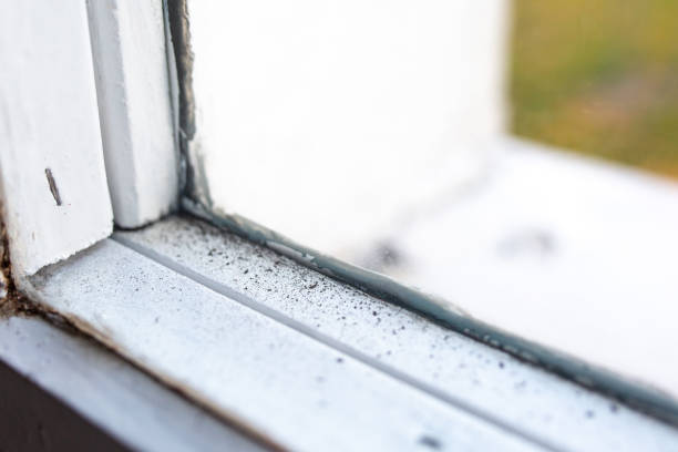 Best Real Estate Mold Inspection  in Hamilton, GA