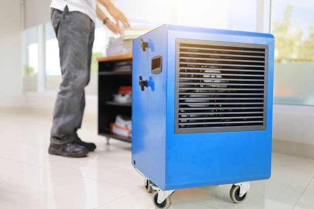 Best Mold Odor Removal Services  in Hamilton, GA