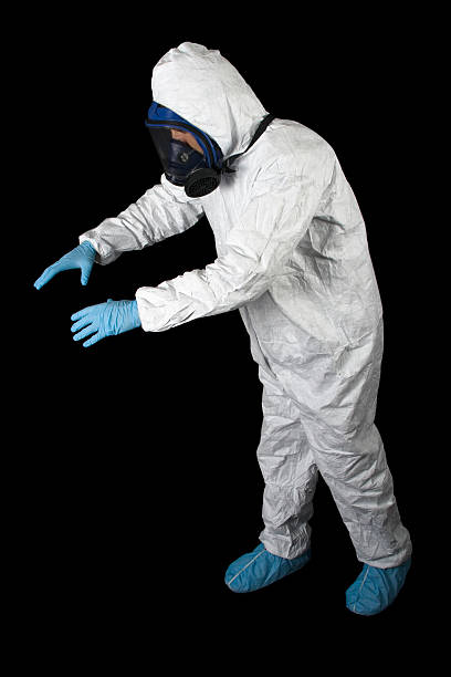 Professional Mold Removal in Hamilton, GA