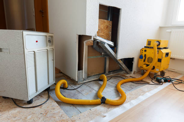 Best Biohazard Mold Removal  in Hamilton, GA