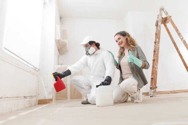 Best Environmental Consulting for Mold Prevention  in Hamilton, GA