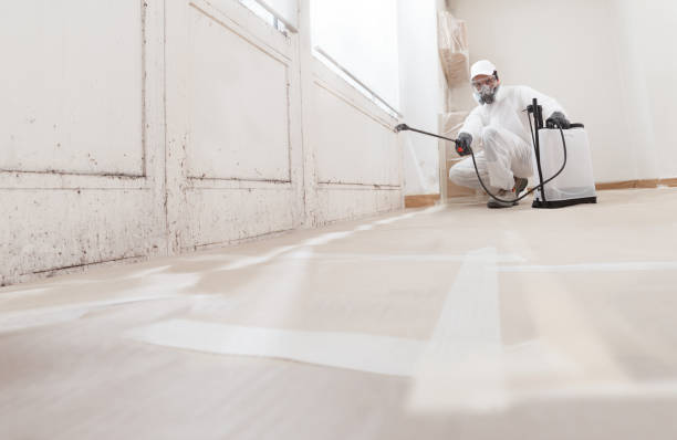 Best Airborne Mold Testing  in Hamilton, GA