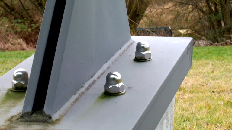 Best Attic Mold Removal  in Hamilton, GA
